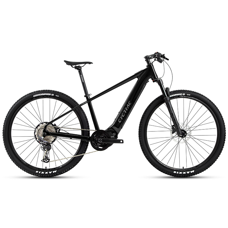 EM5 2025 - ELECTRIC ALLOY BIKE-1
