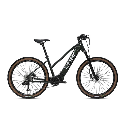 EC1 - ELECTRIC ALLOY BIKE-0