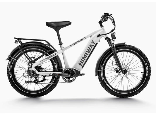 Himiway Zebra D5 2025 E-Bike