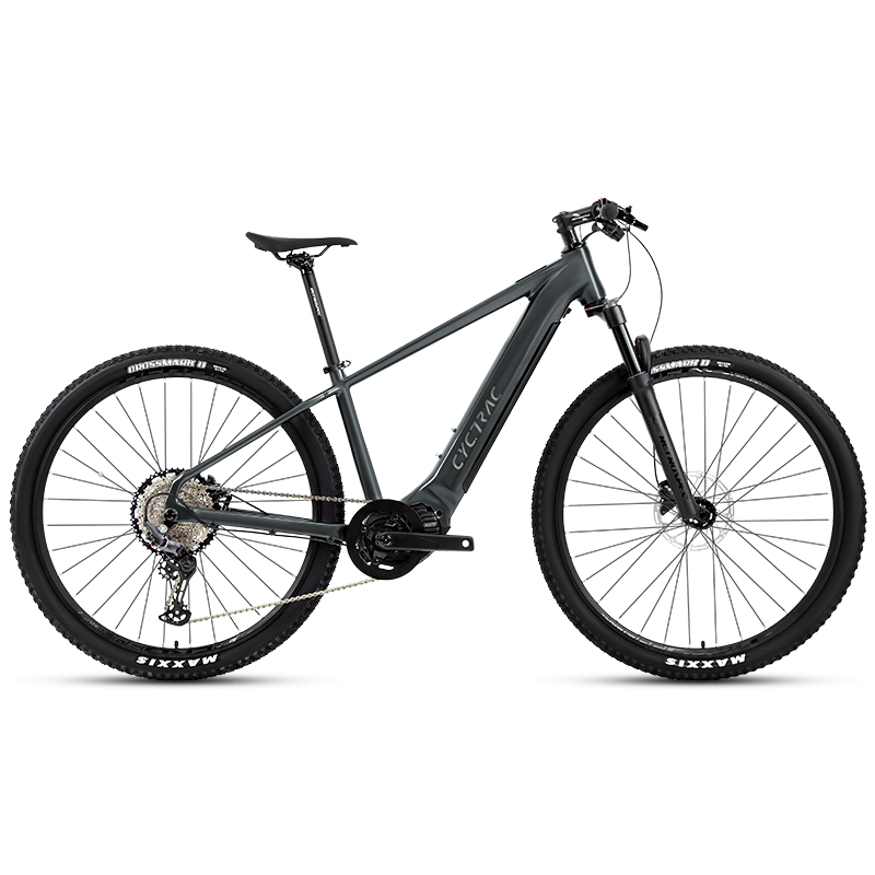 EM5 2025 - ELECTRIC ALLOY BIKE-2